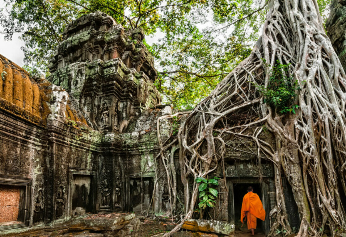 old temple building with carvings in the wall and a tree with huge roots growing from the walls and a monk in orange robes entering through an archway in cambodia