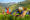 female tea pickers in Sri Lanka tea hills picking fresh leaves