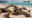 around 20 brown seals lie lazily on the shore of a white sandy beach with clear blue waters. In the distance small rocky islands rise up out of the water,
