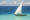 Traditional dhow boat with a billowing white sail floats on a tranquil tropical blue sea