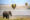 an elephant standing in an African bush, overlooking the Savannah with hot air balloons in the distance