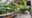 dining area inside of a lodge decorated with lot of plants, wooden tables and benches