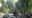 outdoors seating area located in the middle of the rainforest at Abai Jungle Lodge featuring wooden benches and long tables