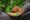 an lam retreats food served on wooden bowl