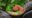 an lam retreats food served on wooden bowl