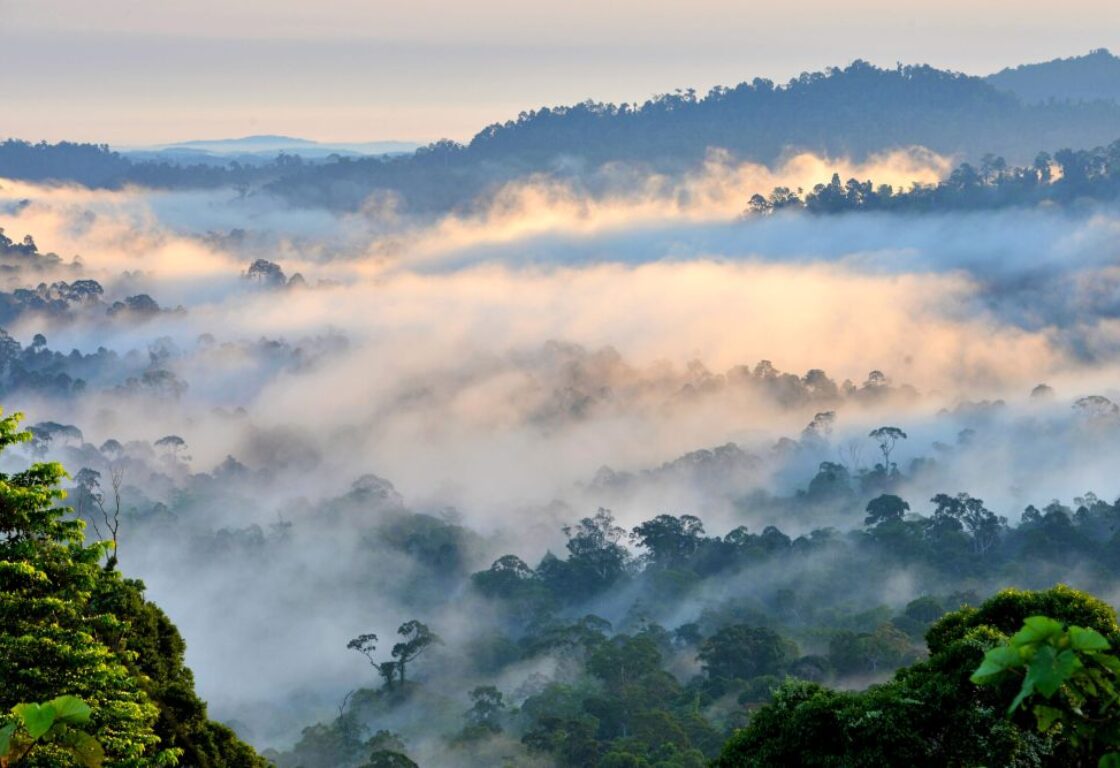 dannum valley at sunrise with cloud