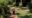 cassia cottage woman walking through the gardens