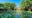 mango home riverside pond with lily pads and trees
