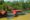 a jungle lodge with red roof perched on the sidebanks of kinabatangan river in Borneo - Abai Jungle Lodge -Borneo