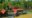 a jungle lodge with red roof perched on the sidebanks of kinabatangan river in Borneo - Abai Jungle Lodge -Borneo