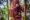 Shutterstock – BOR – Mum and baby orang-utan