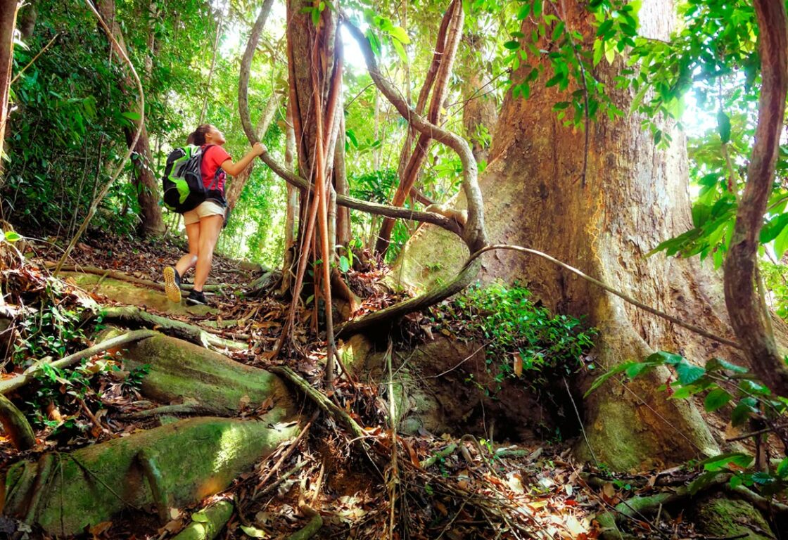a person hiking through a rainforest at Bungaraya Island Resort