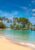 TROPICAL BEACH WITH LONG SANDY BEACH, PALM TREES AND TURQUOISE BLUE WATER