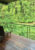 two wooden sunloungers are on a wooden balcony that has a glass wall overlooking a thin rainforest and a river runs through