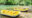 two yellow rafts on the edge of Kiulu River in Borneo