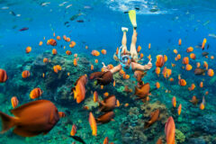a girl snorkelling with orange nemo fish in the ocean