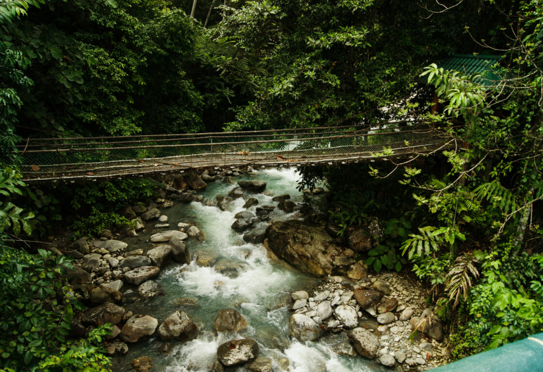 Bridge across a river at Poring Hot Spring,Borneo