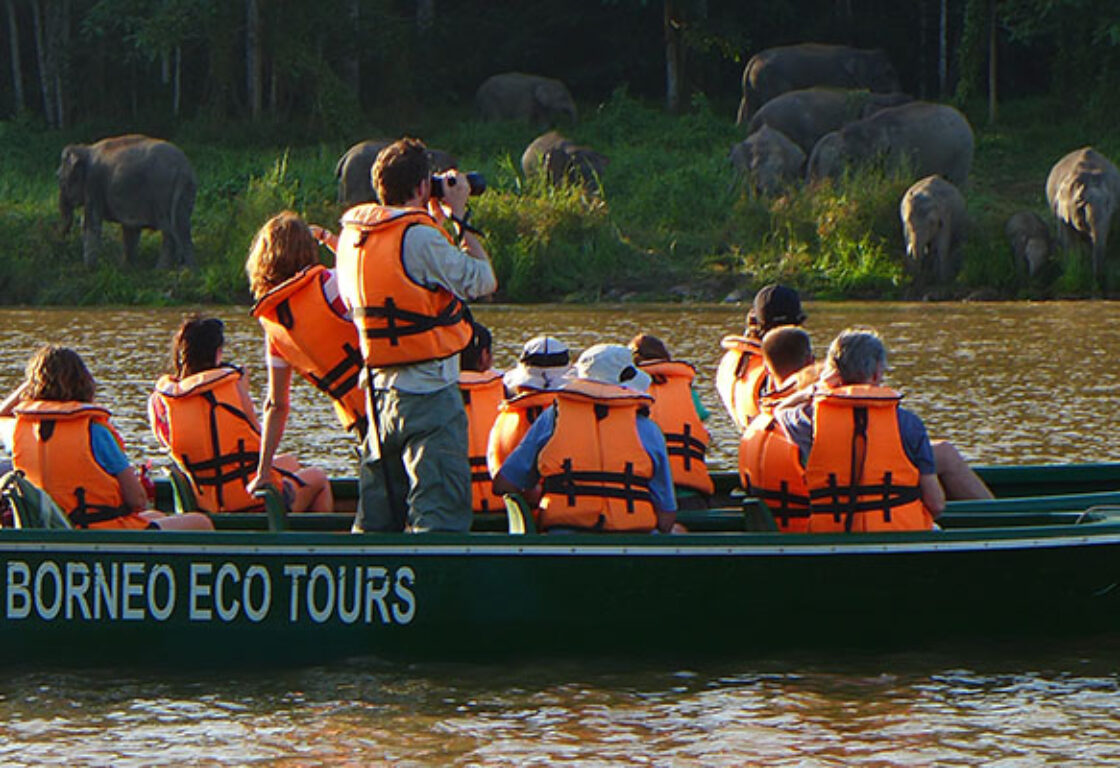 people wearing oragne safety vests aboard a boat on a river cruise searching for wildlife