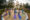 Flame of the Forest in india a group of people stand on a circle platform on colourful mats all doing the same pose with their arms held out