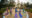 Flame of the Forest in india a group of people stand on a circle platform on colourful mats all doing the same pose with their arms held out