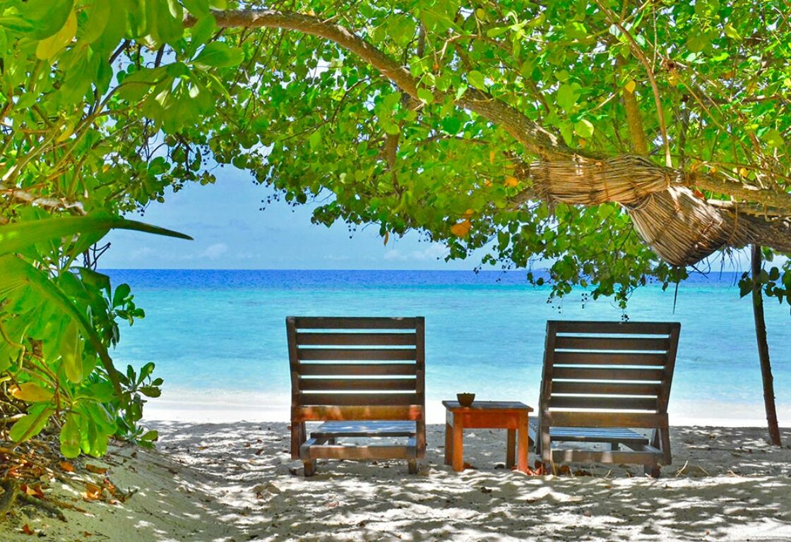 Makunudu Island in the maldives two wooden sun loungers in the shade of a tree that hangs over perfect white sand with a table inbtween them and looking out onto a beautiful calm sea