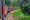 red train going through a forest bending around a corner