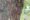 a close up of a tree in cambodia that has loads of coloured thread bracelets attached to it