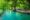 a large turquoise natural pool with two people swimming in it and trees frame the pool on one side and on the other a flat piece of either has some tables on
