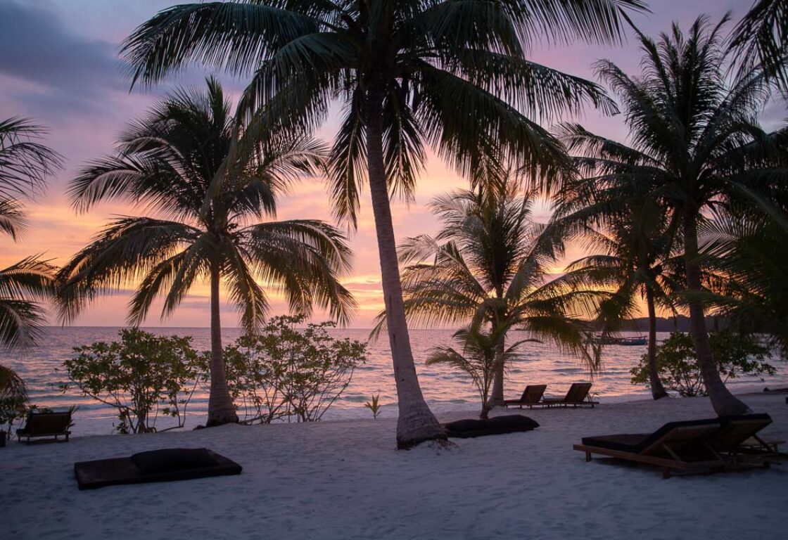 palm trees on white sand with loungers dotted around and a pink sky at sunset on koh rong, cambodia