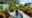 woman walking across a passage way with big trees and flowers either side