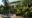Viroth's Hotel entrance of white front with trees and an old fashioned car parked outside