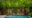 end of the pool at Viroth's Hotel in front of a wall full with greenery and flowers