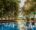 pool at La Folie Lodge in Laos with trees and sun streaming through