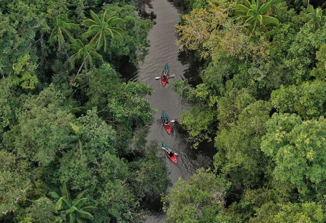 thick forest with a river running through the middle and three kayaks going along the river in cardamom national park