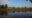 Flame of the Forest in india a large lake with trees and little houses peeking through in the distance