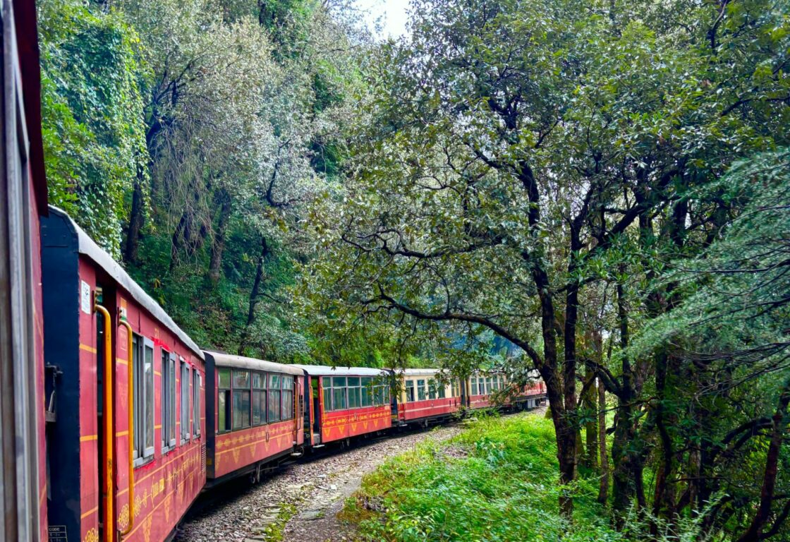 red train going through a forest bending around a corner