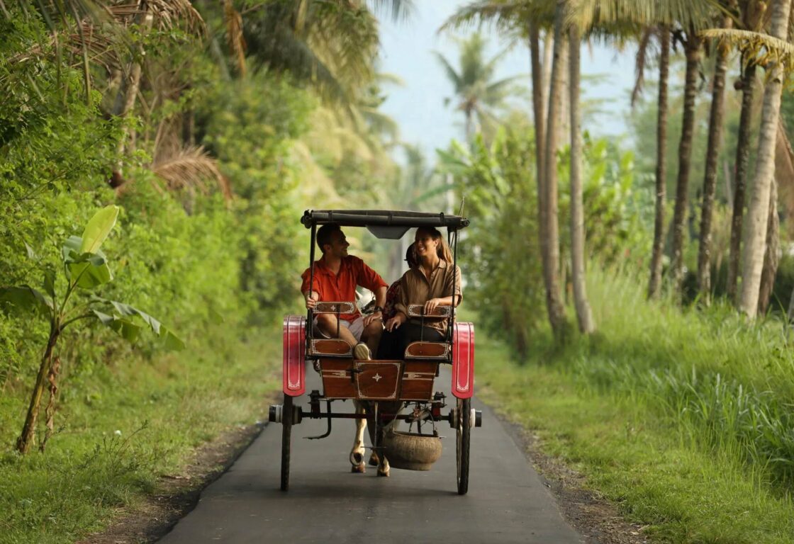 a man and a woman sit in the back of a small cart with a canopy over the top being pulled by a horse down a country lane in bali and the lave is lined with trees and forest
