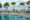 Sadara Boutique Beach Resort in indonesia the curved end of a pool sits in front of 6 large square sun loungers with cushions and beyond them is a stretch of grass with palm trees on and then beyond that the sea