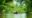 people in a boat on a river surrounded by trees in vietnam as they travel along the river they use oars deep in the water to steer