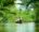 people in a boat on a river surrounded by trees in vietnam as they travel along the river they use oars deep in the water to steer