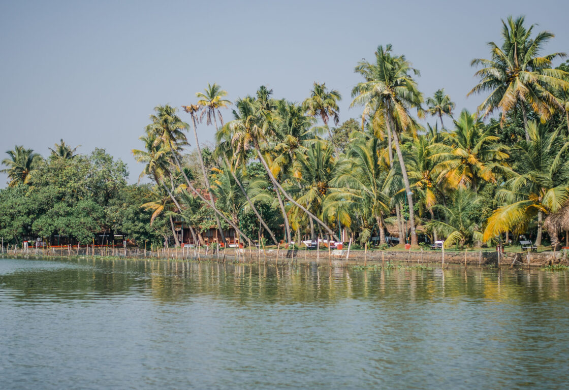 Vembanad Lake in Kerala india a body of calm water and along the bank a row of palm trees and some boats parked along the shore