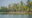 Vembanad Lake in Kerala india a body of calm water and along the bank a row of palm trees and some boats parked along the shore