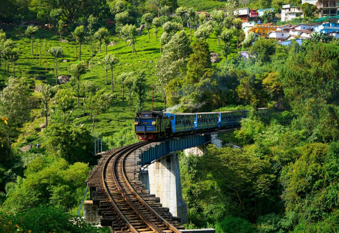 a blue train along a rail track on a bridge with tea pickers up in the hill and a small collection of colourful houses in the right-hand corner