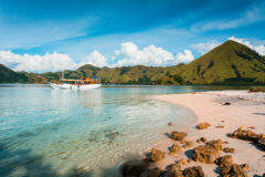 a pale pink beach with clear sea and a tourist boat in the distance sits underneath a line of green hills