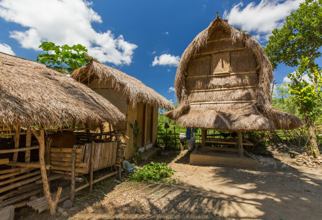 a thatched hut sits on poles so it is off the ground and on the right are two other huts with thatched roofs and wooden walls in indonesia