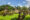 a collection of buddha statues in a green field with trees and blue sky behind and the statues are made of stone and they all have a variety of expressions