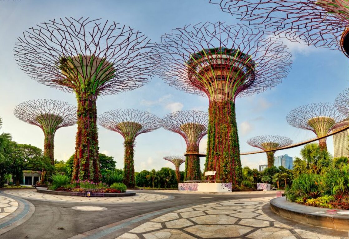 trees in gardens by the bay, singapore during the day time