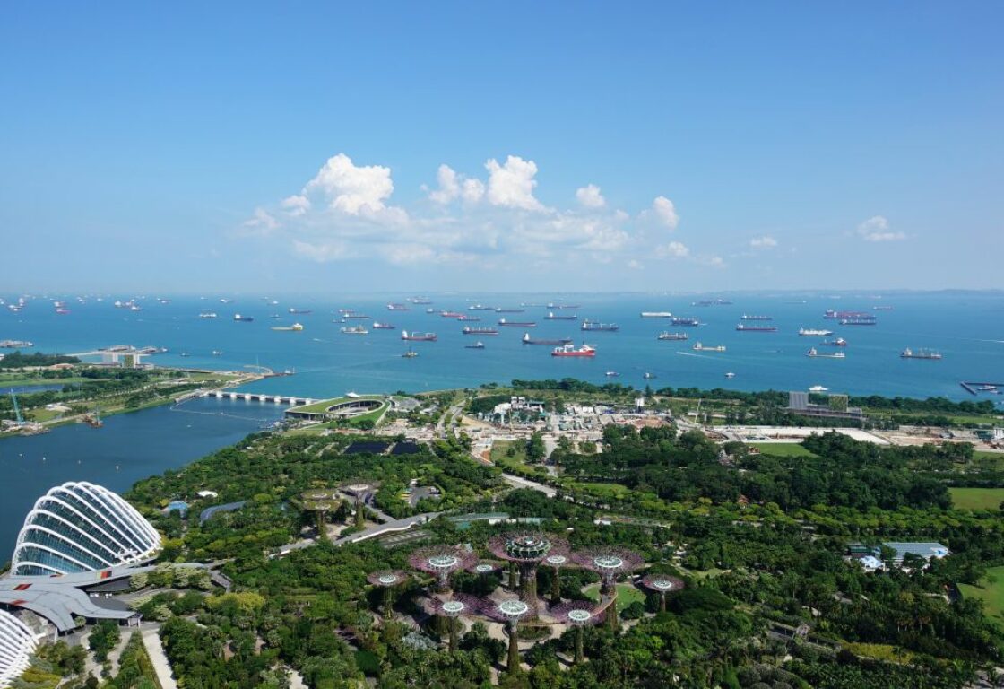 views of the harbour in singapore from the observation deck, gardens of the bay in the forefront
