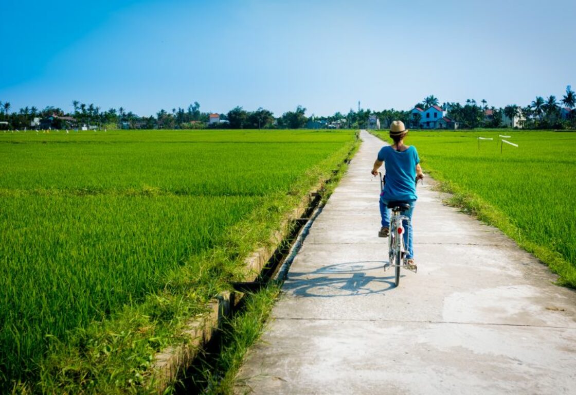 photo take from the back of a woman cycling along a path through rice paddies in hoi an