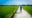 photo take from the back of a woman cycling along a path through rice paddies in hoi an